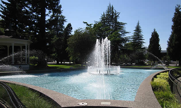 fountain in a park