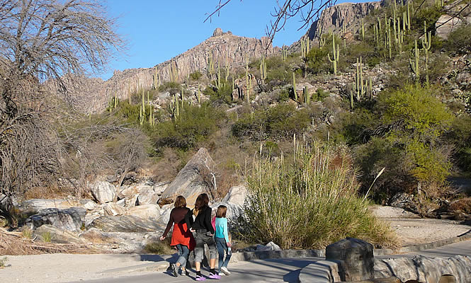 people hiking in a desert area