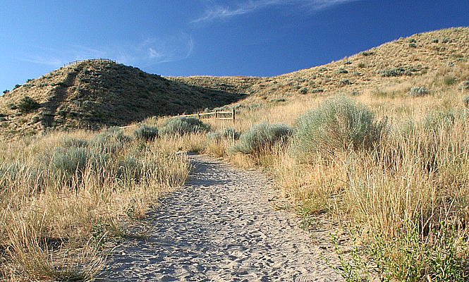 Sand path in Idaho