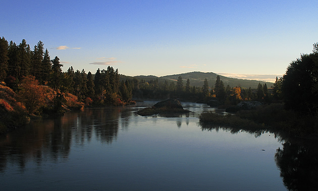 a lake surrounded by trees