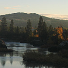 a lake surrounded by trees