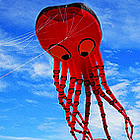 kites being flown at the Windscape Kite Festival