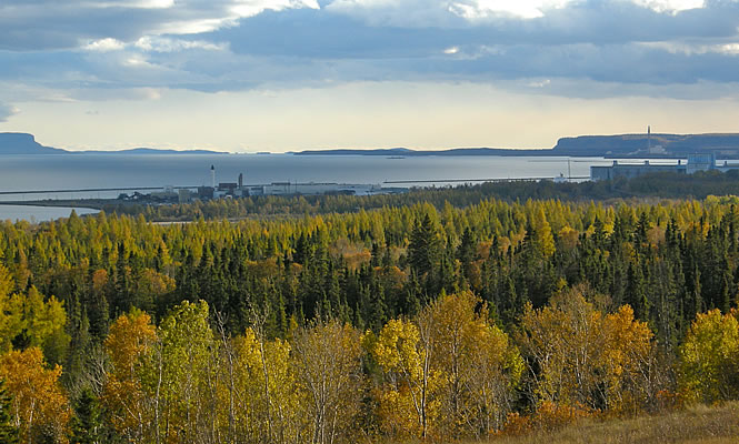 trees and a bay with mountains