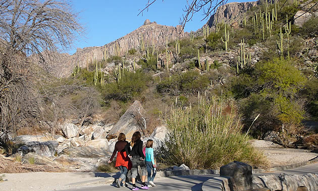 a family hiking in the desert