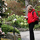 woman standing in front of a garden area, looking at tea roses