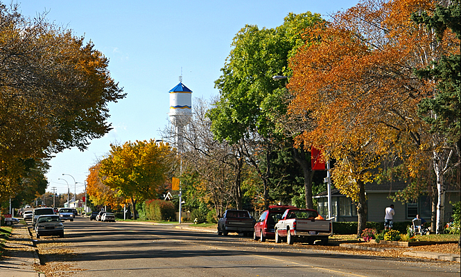 downtown city with autumn leaves on trees